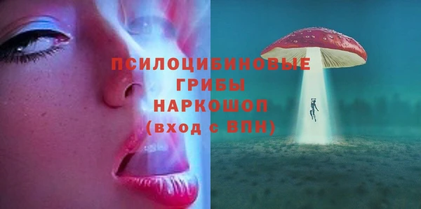 ПСИЛОЦИБИНОВЫЕ ГРИБЫ Покров