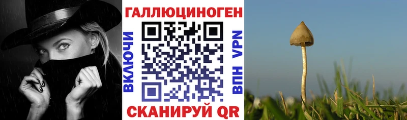 Псилоцибиновые грибы прущие грибы  где купить наркотик  kraken ССЫЛКА  Бежецк 